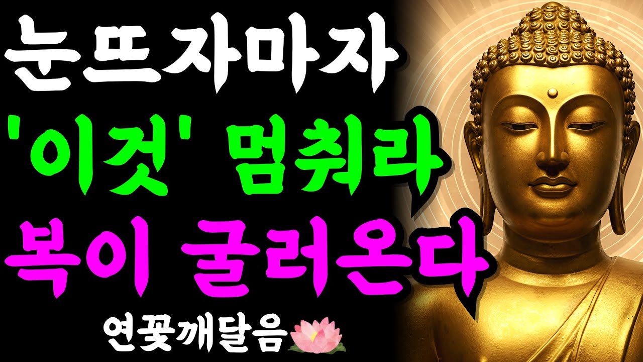 아침에 눈 뜨자마자 '이것' 절대 하지 마세요. 들어오던 복도 싹 달아납니다. (부처님 인생조언) | 부처님 말씀 | 석가모니 | 불교명언 | 불교오디오북