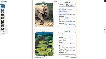 Animal Trading Cards Activity