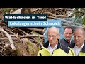 Waldschäden in Tirol: Hilfe bei Wiederaufforstung