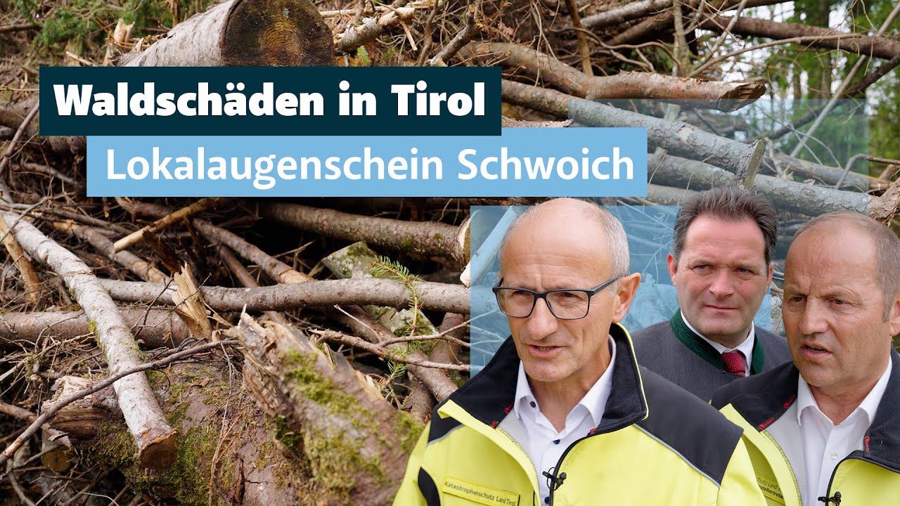 Waldschäden in Tirol: Hilfe bei Wiederaufforstung