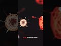 SOUL | Melodic Techno Drop #melodictechno #shorts