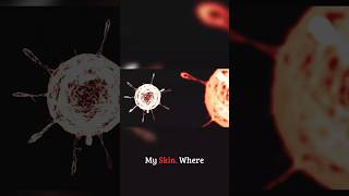 SOUL | Melodic Techno Drop #melodictechno #shorts