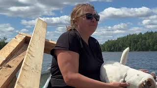 Deep in the Canadian wilderness, off grid, cabin life.  🤯🛶