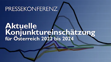 Wie viele Warnwesten im Auto Österreich 2022?