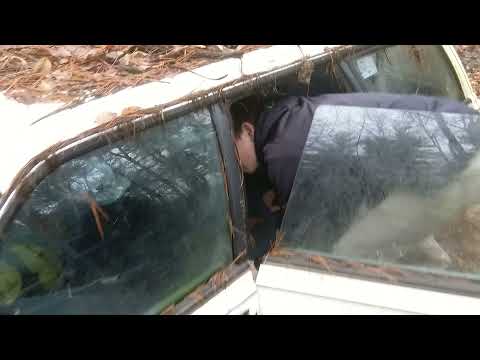 Stuck & ABANDONED 1989-1994 Subaru Loyale Wagon Salvage Mission PT.1!