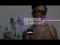 AYRA STARR X REMA Type Beat 2026 - " OGANIGWE "