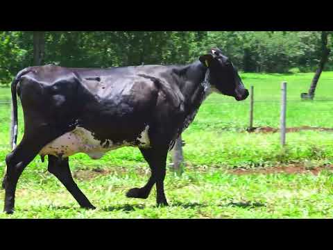 LOTE 11 JUTA FIV BYWAY MOURA LEITE 5755 CA