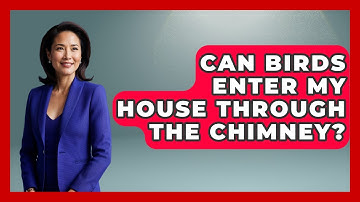 Can Birds Enter My House Through The Chimney? - Insects and Invaders