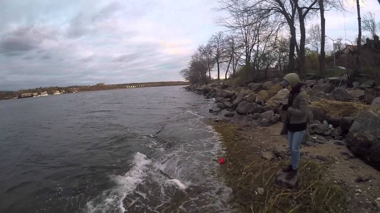 LITTLE NECK BAY FISHING FOR STRIPED BASS USING DAIWA SALT PRO MINNOW