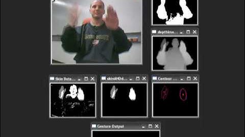 American Sign Language using ZCam computer vision