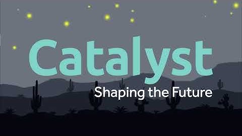 Catalyst Bumper