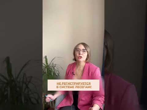 Что не регистрируется в системе ЛесЕГАИС?