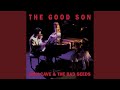 Miniature de la vidéo de la chanson The Good Son