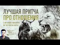 Пожалуй, лучшая притча про отношения (про льва и быка)