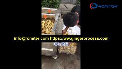 High Speed Ginger Washing Slicing Machine