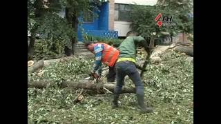 30.05.16 - 200 упавших деревьев и дома без света. Харьков после воскресного урагана