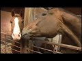 Maine Watch Web Extra: Summer Leadership Camp for Boys and Girls at Ballard Farms