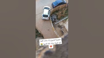 تلاوة عطرة تقشعر منها الأبدان راحة نفسية القرآن الكريم