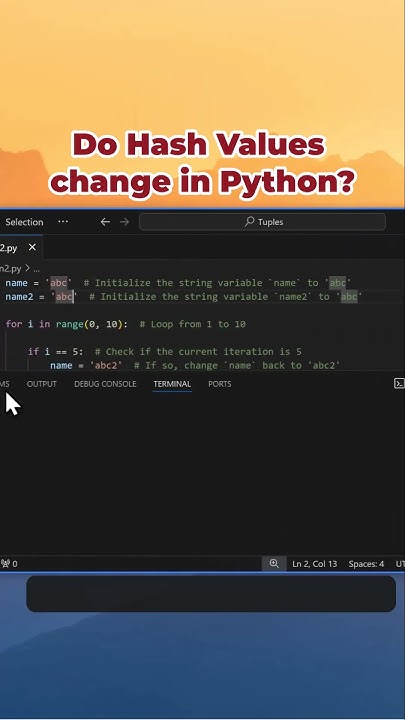 Python Hash Values and Hash Caching in Action #hashing #cryptography # ...