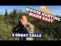 5 GREAT MOOSE CALLS, THAT WILL BRING YOU SUCCESS IN YOUR HUNT | MOOSE 2020 | Pierre’s Adventures