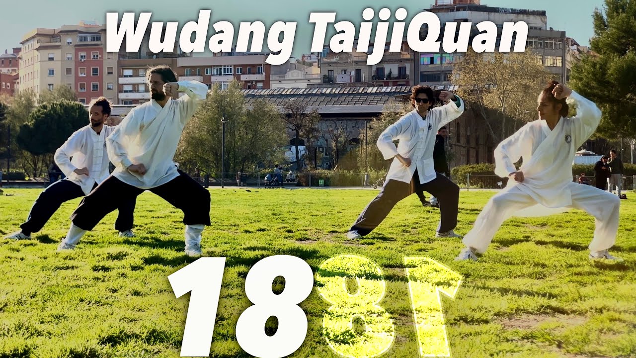 Wudang TaijiQuan | En Busca de la SIMETRÍA | 18 Movimientos Xuanwupai ~ en Barcelona