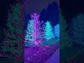 📍Atlanta Botanical Garden (Winter Garden Lights) ✨🎄 Mp3 Song