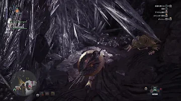 Mhw ピンクパレス
