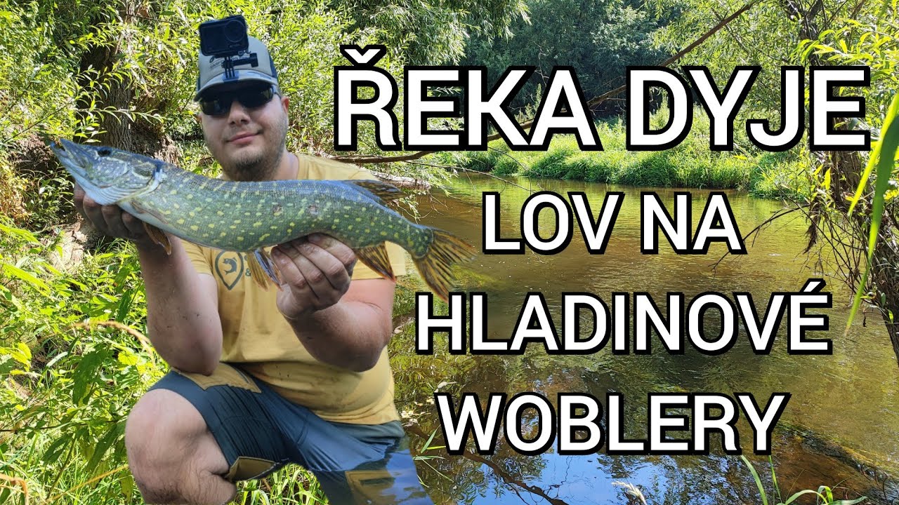 ŘEKA DYJE - LOV NA HLADINOVÉ WOBLERY