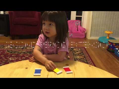 How to Present the Montessori Three Period Lesson