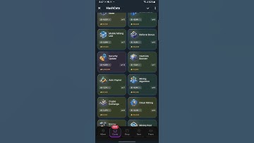 HASH CATS DAILY COMBO CARDS TODAY 3 November #hashcat #dailycombo #airdrop