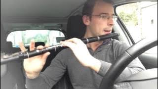 THE FATRAT: UNITY A LA FLUTE TRAVERSIERE