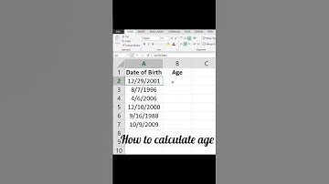 🔥Calculate Age in Excel in Seconds! #excel #ytshorts #shorts