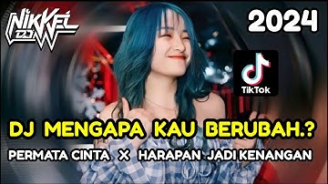DJ BEST DUGEM FUNKOT‼️DJ HARAPAN JADI KENANGAN !! DJ MENGAPA KAU BERUBAH !! DJ PERMATA CINTA !! 2024
