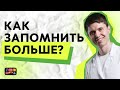 Как повторять материал, чтобы ничего не забыть? | Биология ЕГЭ 2023 | Илья Биолог | Топскул