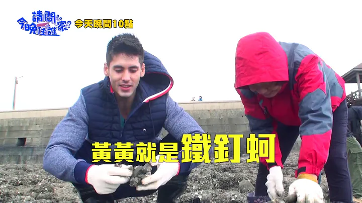 【請問今晚住誰家】EP268 下海化身青蚵兄 型男撬蚵受重創？！李李仁、肯納、王少偉 週一至週四晚間10點 東森超視33頻道 - 天天要聞