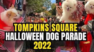 🎃🐾 LIVE from New York City! | Tompkins Square Halloween Dog Parade 2025 🗽