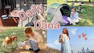 Daily Dana 🌸 Возвращение на канал | цветение вишни в Сеуле, лечение волос, работа фрилансером 🌸