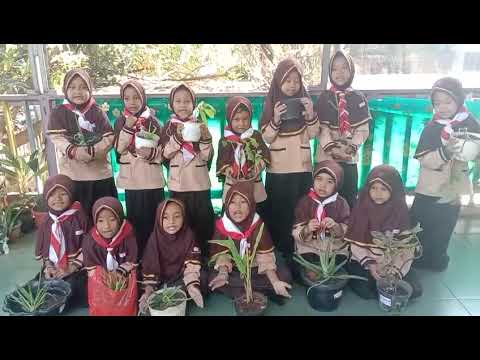 PRAMUKA SIAGA || SDIT MAWADDAH DEPOK