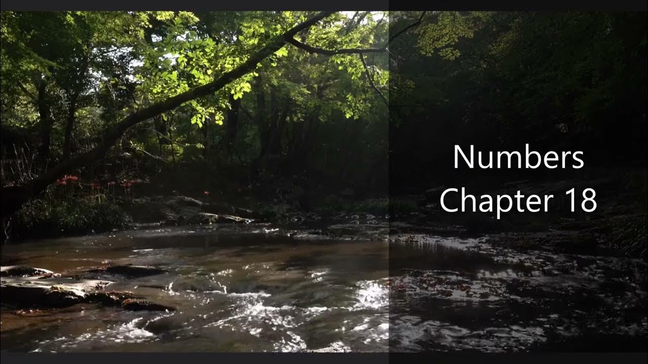 The Book of Numbers Chapter 18 New King James Version (NKJV) Audio