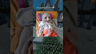 Bro Still Waiting For Gta 6 Chat Music