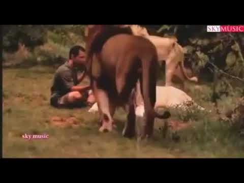 مو كل من مشي وياك صاحب ولا كل من يدق الصدر قدها حميد الفراتي