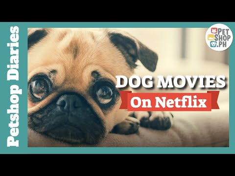 Video: Hvordan Få Hunden Din På Netflix-showet 'Dogs