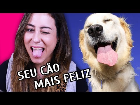 Vídeo: Como fazer seu cão feliz