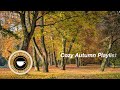 Autumn Music and Chill Tunes: Relaxing Autumn Playlist