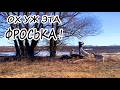 УСПЕТЬ ДО ЗАКАТА: С ПОМОЩНИКОМ НАМНОГО ЛЕГЧЕ | ЖИЗНЬ НА КРАЮ СЕЛА У ЛЕСА.