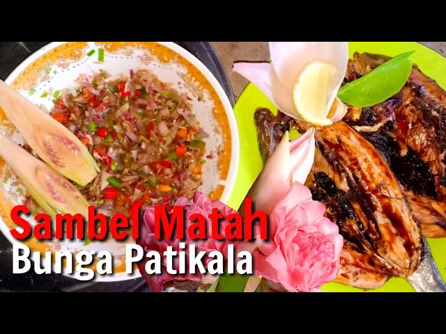 Sambal Matah Kecombrang Khas Bali, Rasanya Nikmat Bikin Ketagihan class=