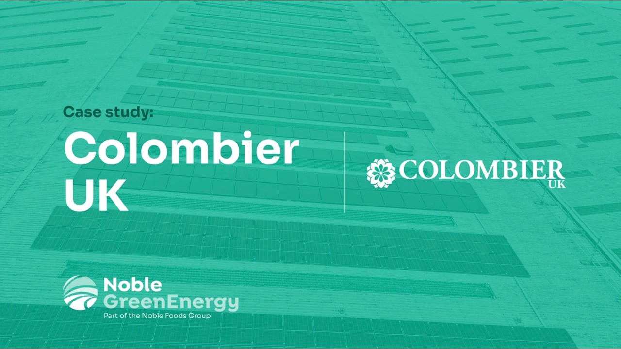 Noble Green Energy Solar PV Case Study | Colombier UK