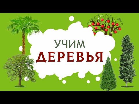 Видео: Как установить клетку для хомяка: 15 шагов (с изображениями)