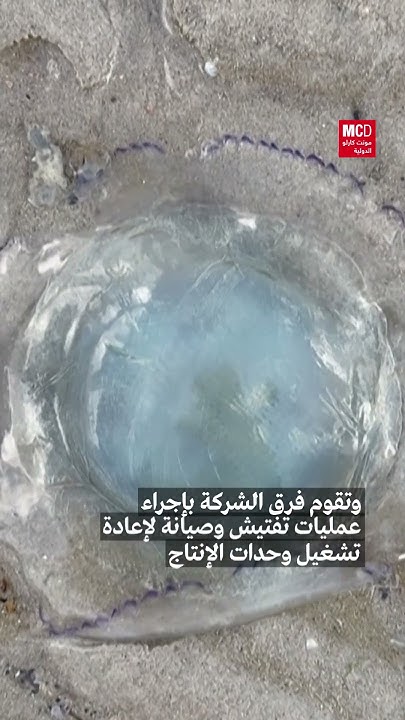           
 - نشر قبل 1 ساعة