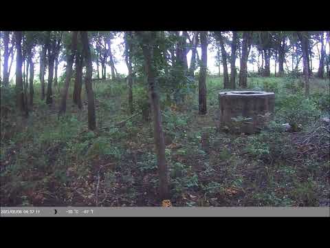 CREATURE CAM AT THE WELL [ TWO FIGURES CAUGHT] 8-7-26